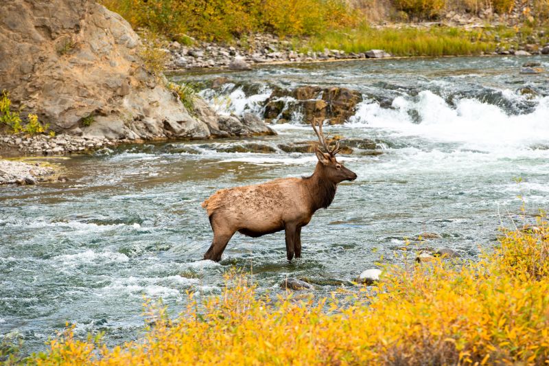 Best Foundation Lifting pros in Elk River, MN
